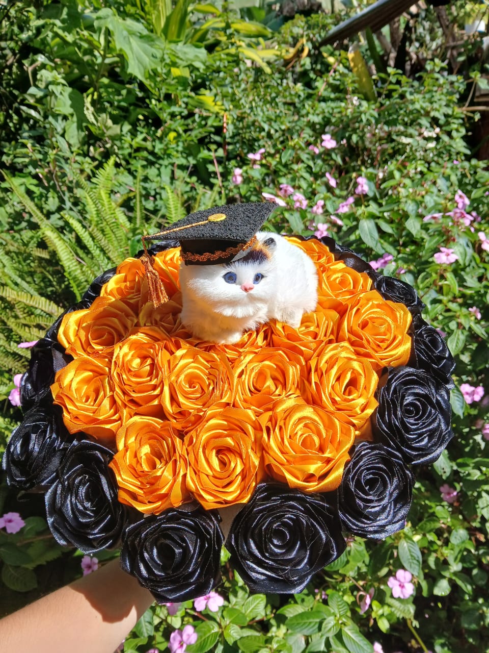 Graduación 1